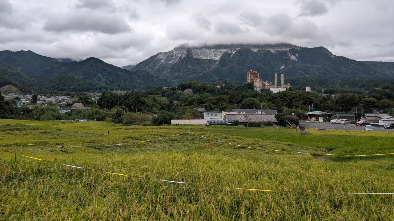 寺坂棚田からの武甲山
